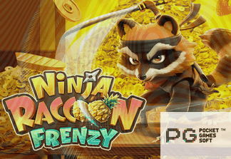 Ninja Raccoon Frenzy